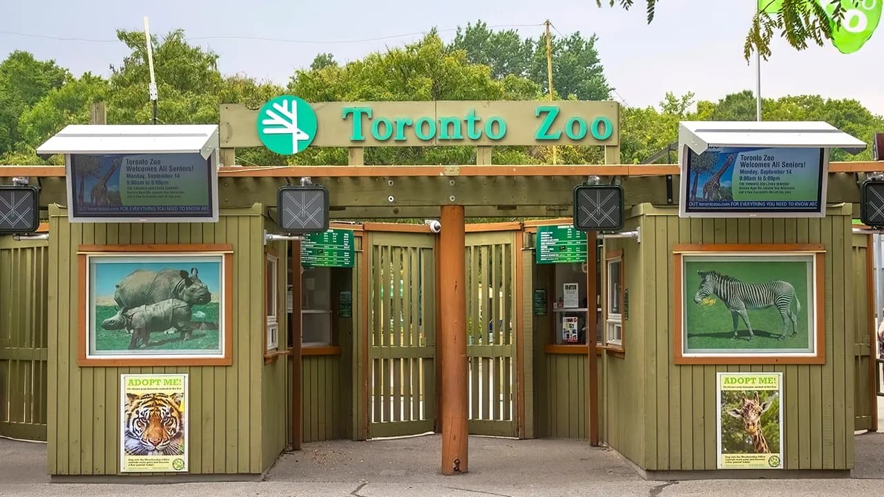 Toronto Zoo Cyberattack Exposes 20 Years of Visitor Data, Threatens Wildlife Research